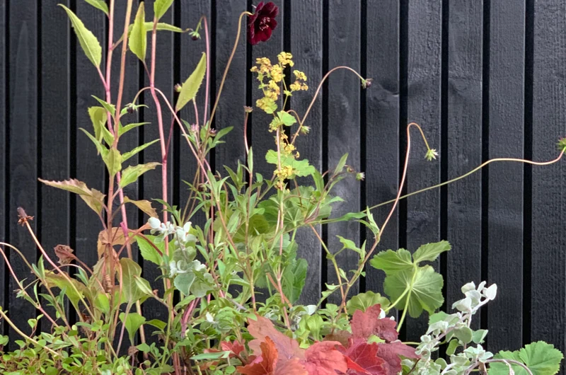 Moderni pihasuunnitelma Vantaalla – istutussuunnitelma ja pihasuunnittelijan suunnittelema ulkoalue Uudenmaan alueella.