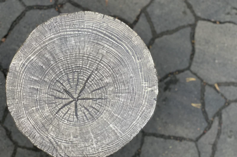 Uudiskohteen pihasuunnitelma Vantaalla – toimiva ja tyylikäs pihakiveys osana pihasuunnittelijan toteuttamaa pihasuunnitelmaa.