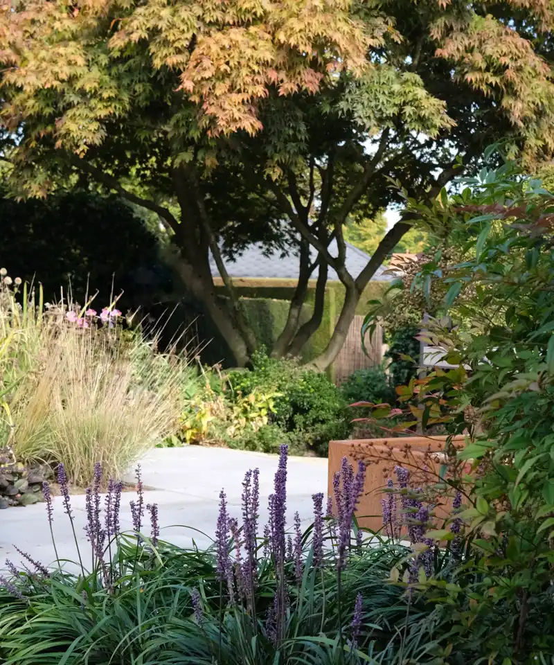 pihasuunnitelma-omapiha