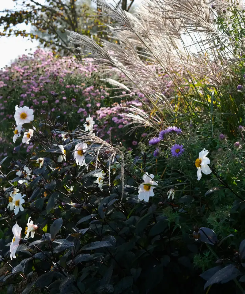 pihasuunnitelma-uniikkipiha