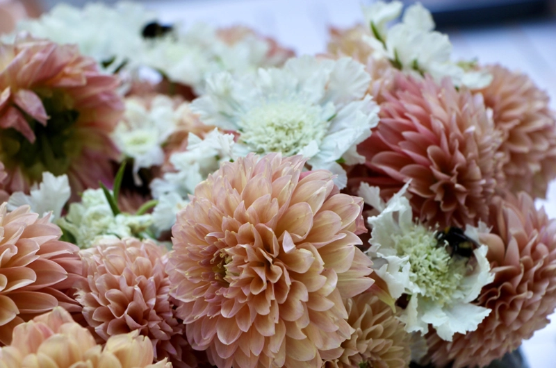 Villa garden design in Espoo: garden renovation, romantic garden, outdoor fireplace