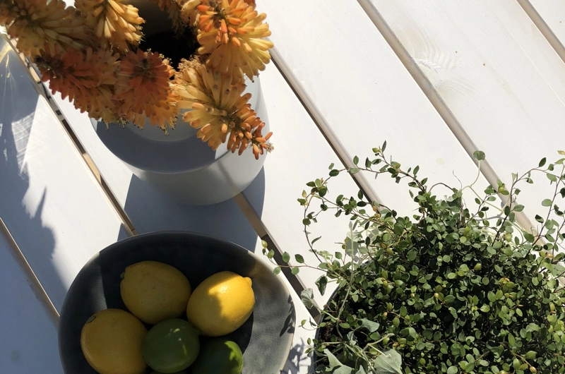 Post-war house garden design in Uusimaa: garden renovation, terrace, outdoor living area, pergola